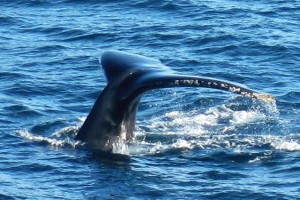 Klik hier voor meer...